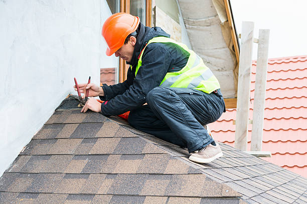 Best Storm Damage Roof Repair  in Dixon, IL