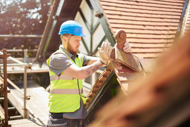 Trusted Dixon, IL Roofing Contractor Experts
